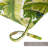 Outdoor Chaise Lounge Chair Cushion-814572811
