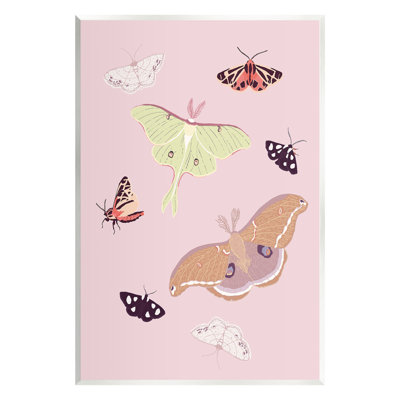 Art mural à motif de papillon de nuit varié par Sweet Melody Designs