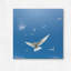 « arctique tern ii », reproduction de photo sur toile-74282107-74282106-18776110