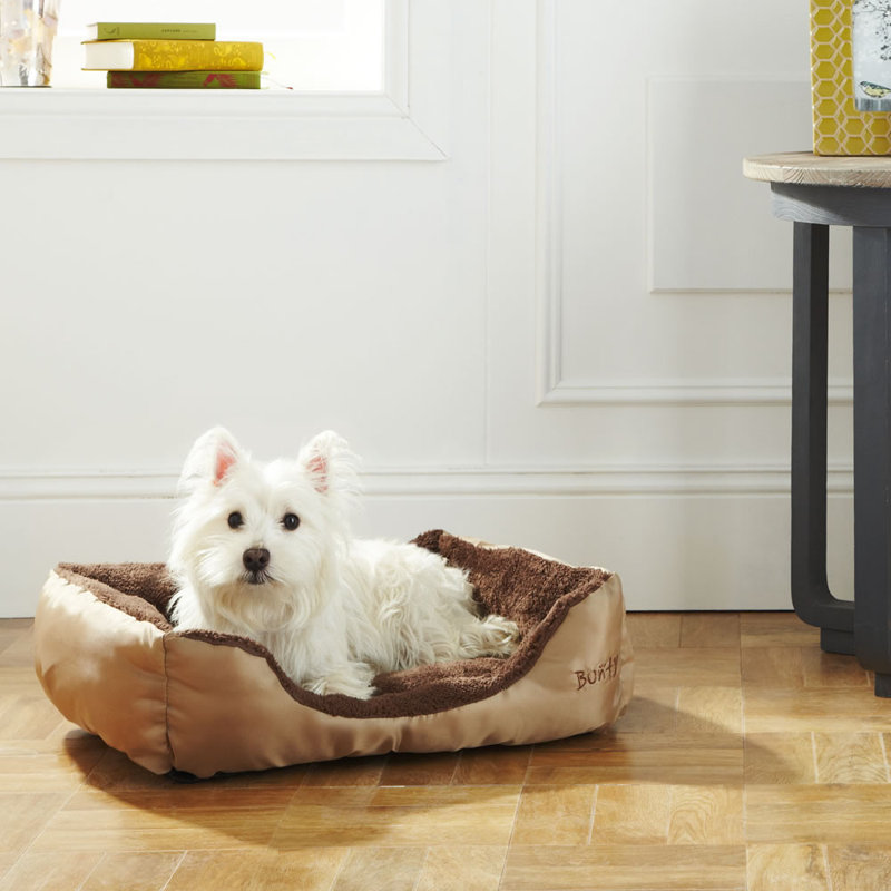 Bacup Polyester Pet Bed, Cream, Large (75 cm L x 58 cm W)