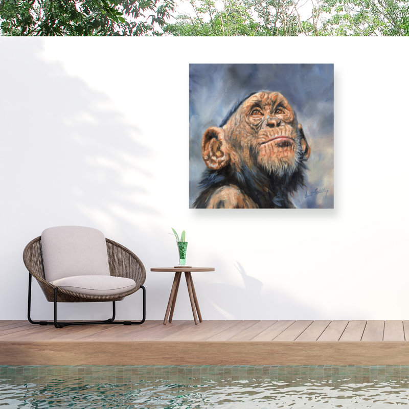 Toile d'extérieur David Stribble Chimp, H 14 po x l 14 po
