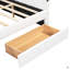 Grand lit plateforme tapissier avec port USB et 2 tiroirs-1830675337
