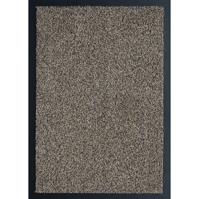 Aarianna Non-Slip Doormat