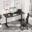 Adjustable Metal Base Computer Desk