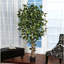 Ficus artificiel 72 po en pot