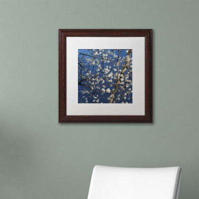 Springtime at the Lake Framed Photographic Print