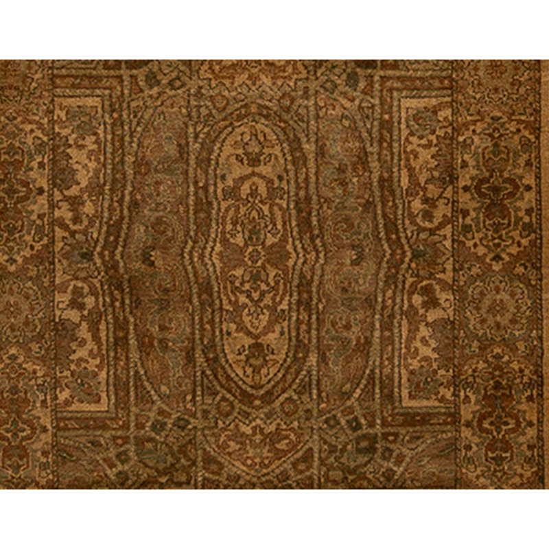 Wool Oriental Area Rug in Gold