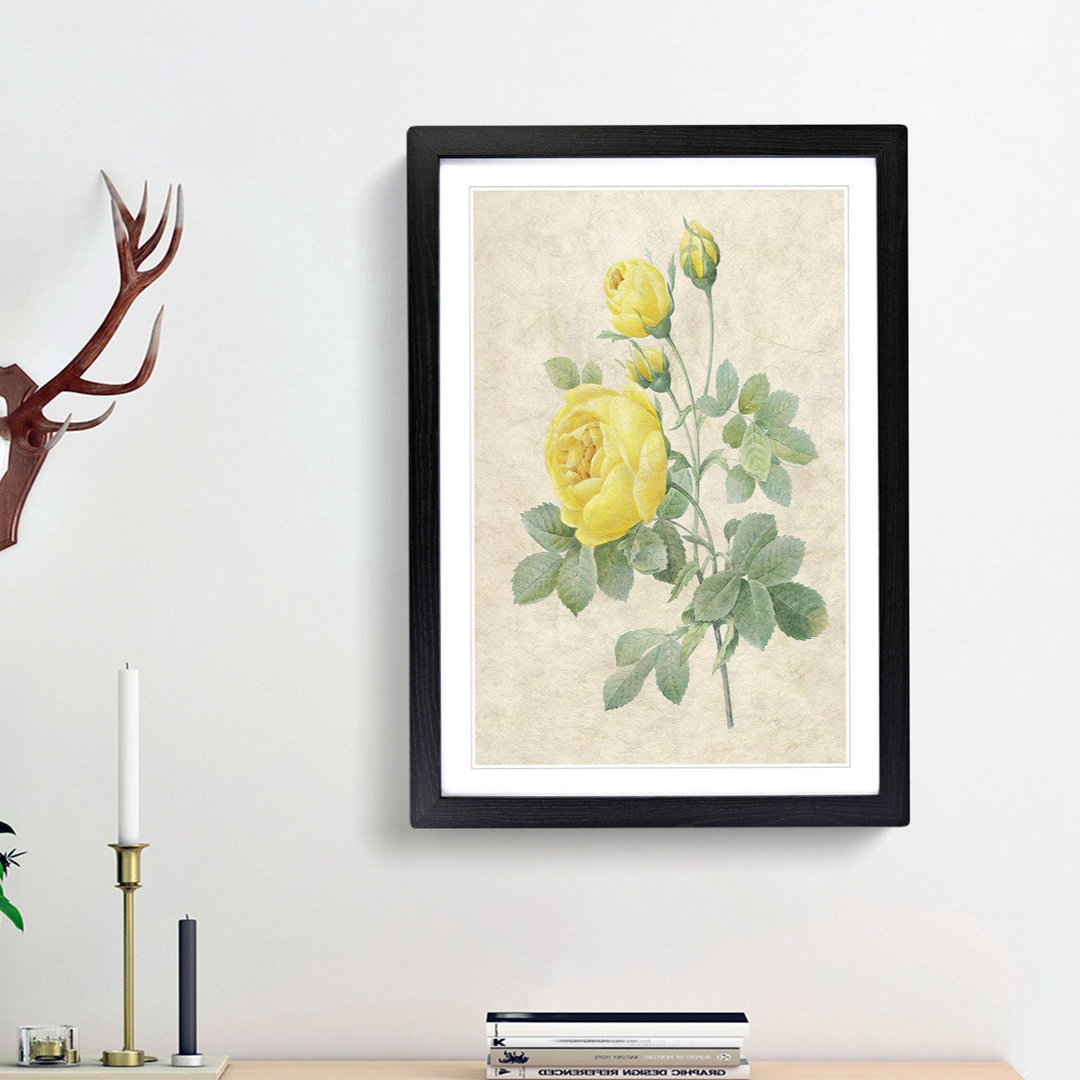 The Yellow Roses by Pierre-Joseph Redouté - Picture Frame Painting Print