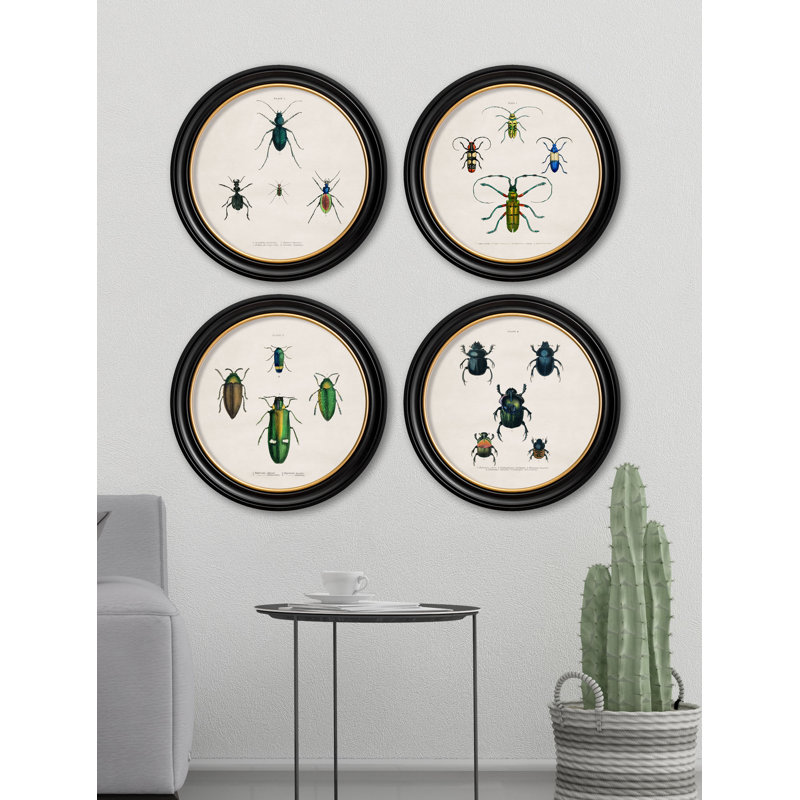 Beetles by Mid-1800s - Single Picture Frame Print on Archival Matt 230gsm Paper