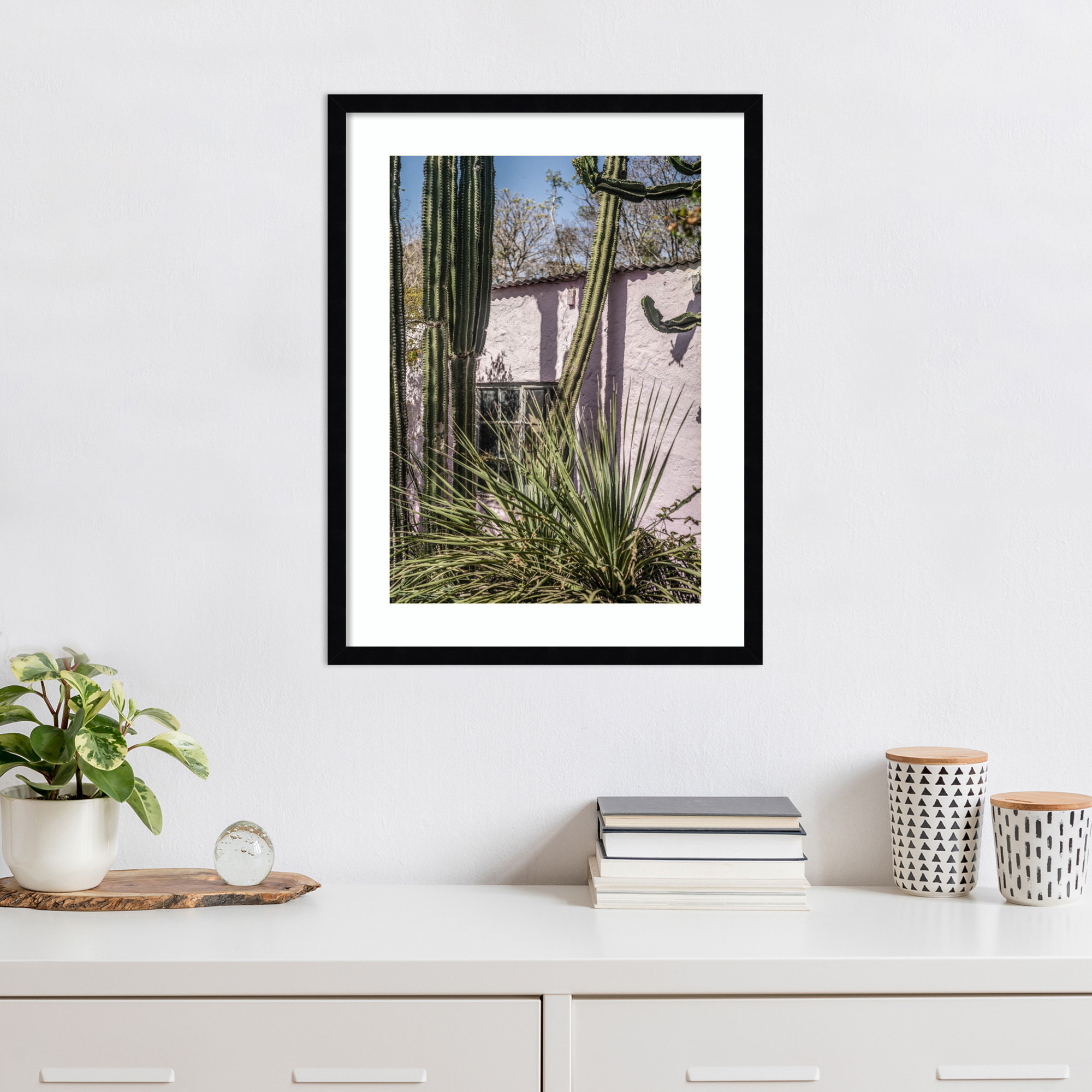 Plants On Pink by Shot by Clint Wood Framed Wall Art Print, Black, 25" H x 19" W
