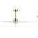 Artimas 60'' Ceiling Fan with LED Lights