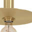 Bheema Steel Armed Sconce