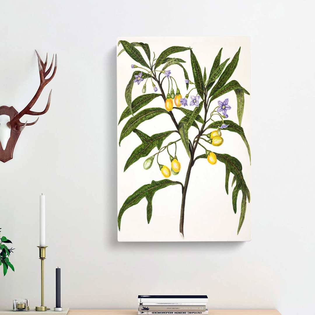 Poroporo Flowers by Sarah Featon - Wrapped Canvas