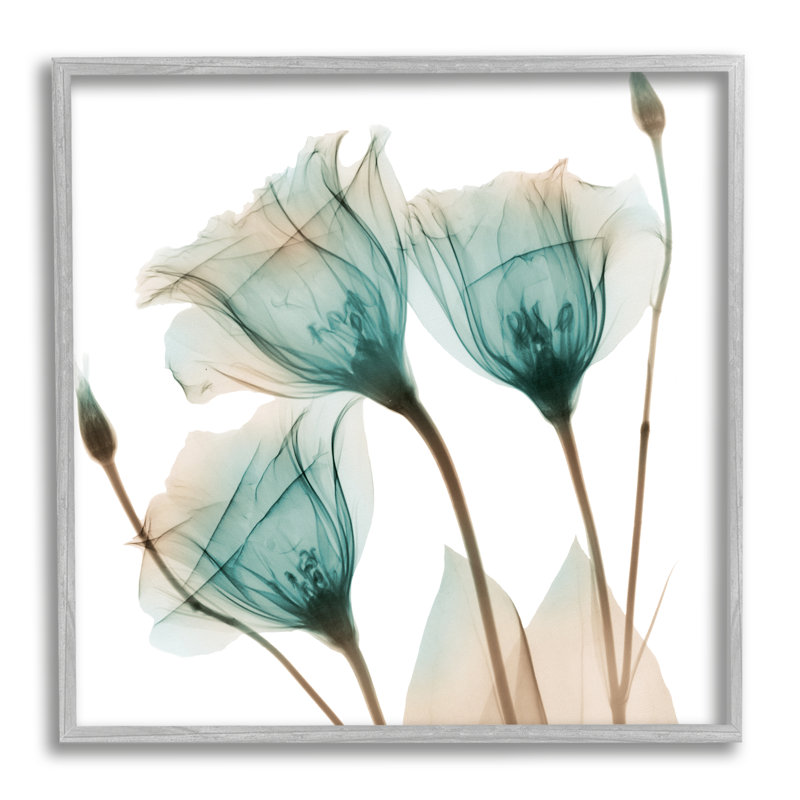 «Spring Tulip Florals», plante translucide, photographie encadrée sur blanc, art texturé par Albert Koetsier
