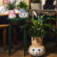 Olga Vase, Blue, H: 7.9"-860814693-860814692