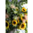 Sunflower Arrangement