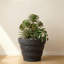 Pot à fleurs rond Kaofen ECOBO EcoFriendly-580920282-580920281