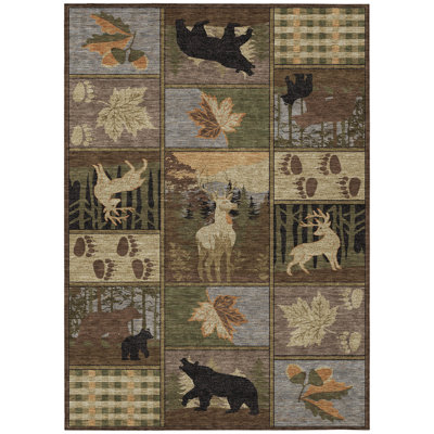 Machine Washable Indoor/Outdoor Chantille ACN2448 Lodge Rug