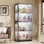 Display Cabinet
