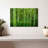 Alvord Bamboo Jungle-111976174