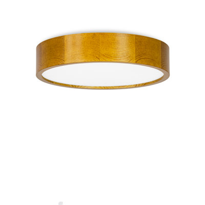 Demitria Glass and Solid Wood Flush Mount