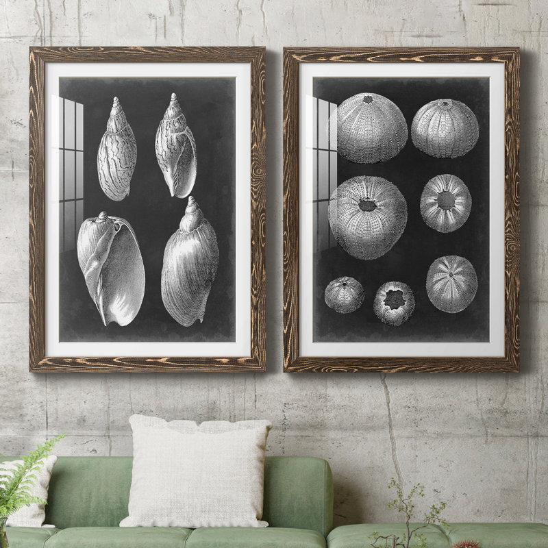 Alabaster Shells II, reproduction d'art encadrée - prête à être accrochée, H 31,5 po x l 47 po x P 1,5 po