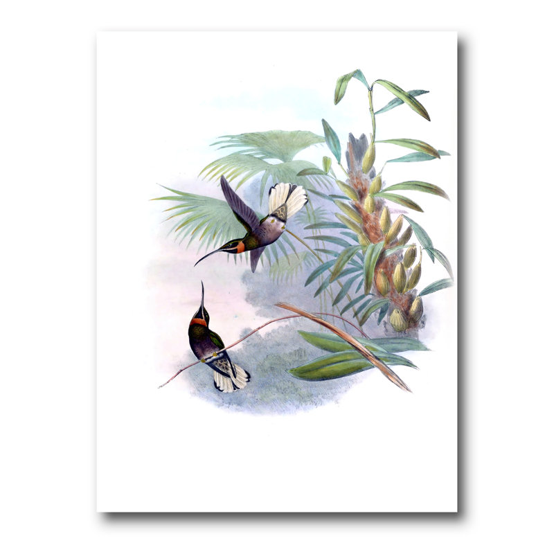 Colibri rétro sur une branche - impression sur toile, H 32 po x l 24 po x P 1 po, Toile tendue