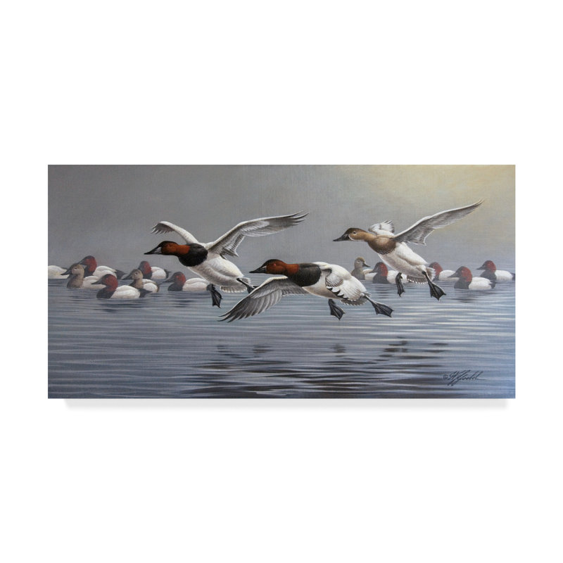 «Canvasbacks Coming in» par Wilhelm Goebel, reproduction sur toile