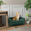 Canapé pour animaux de compagnie, avec coussin moelleux, housse lavable et amovible, pour animaux de compagnie