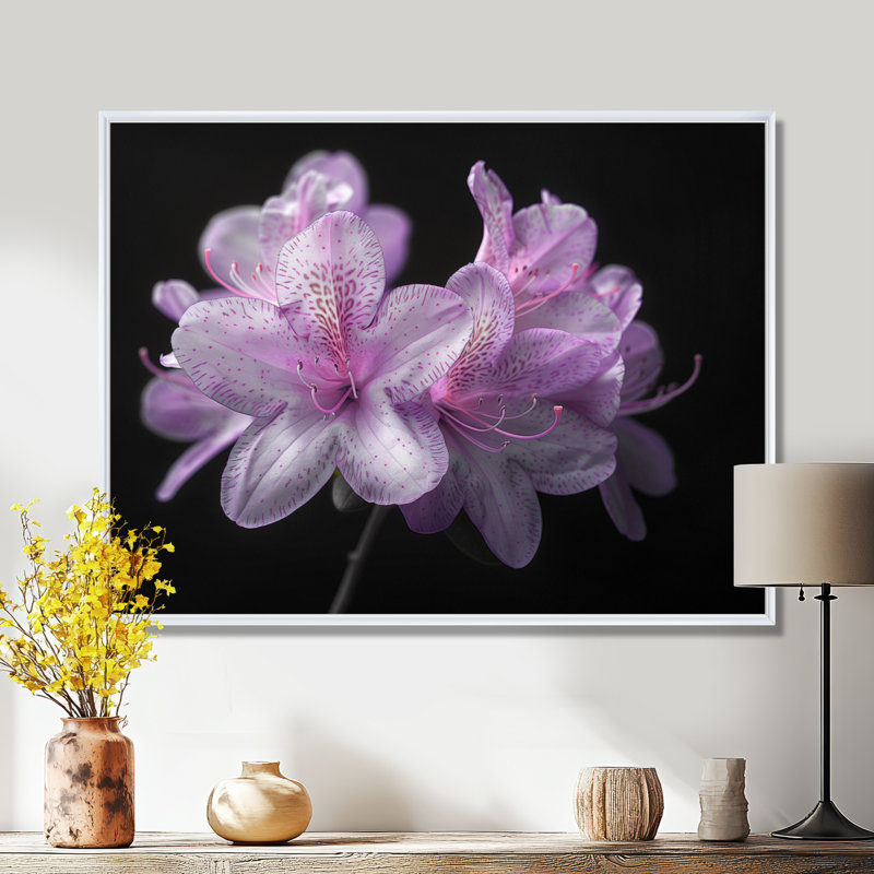 Ruchodendron mauve et noir soufflant vents - art mural rhododendron, Cadre flottant blanc, H 16 po x l 32 po