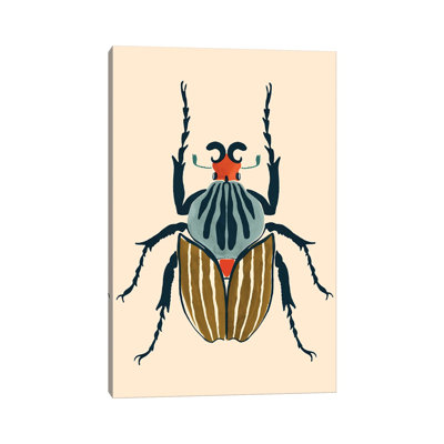 Coccinelle I