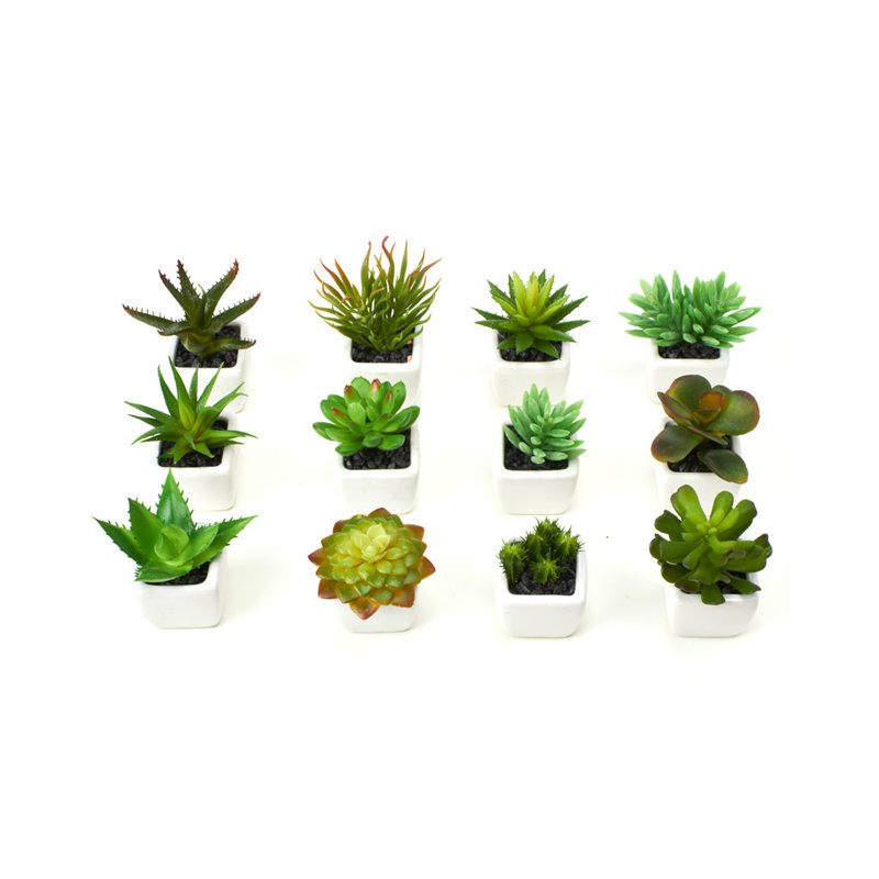 2'' Faux Cactus Succulent in Glass Pot
