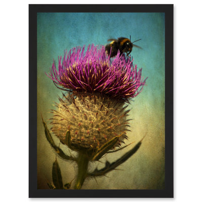 Photo Bumble Bee Thistle Flower Scotland Picture 1 Piece Single Picture Frame Wall Art
