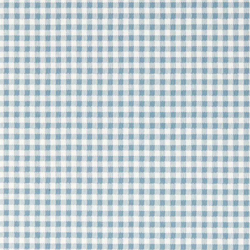 Gingham, Picnic Blue