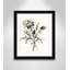 Botanical Seed I by - impression-87850865-87850866
