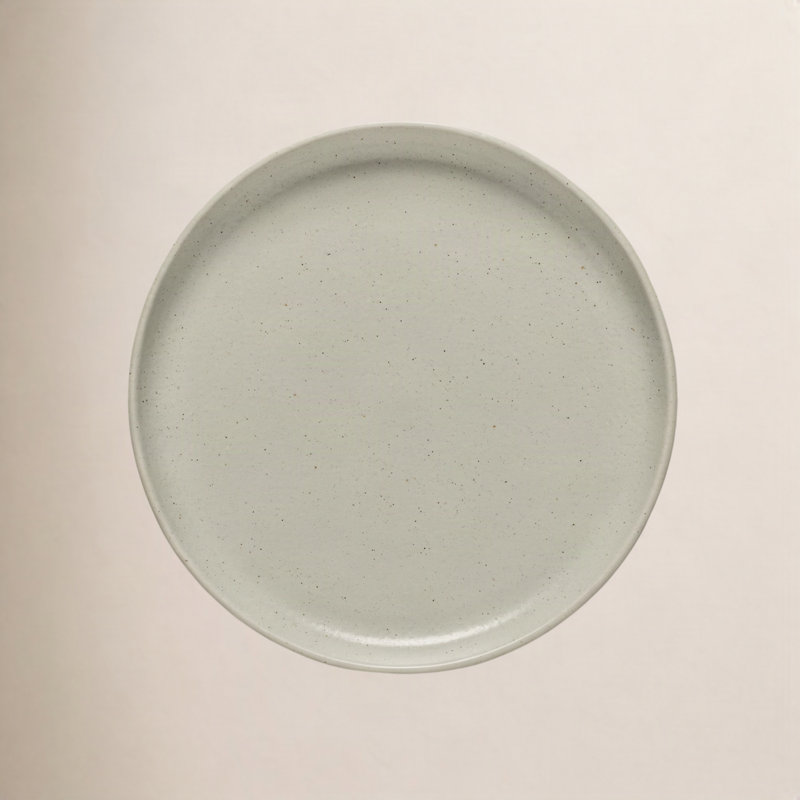 Casafina Pacifica Dinner Plate Pacifica By Casafina