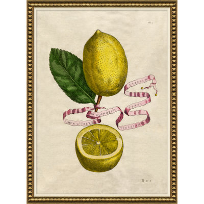 Lemons And Ribbons 1 Giclee Print