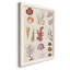Wolfdale Coral & Shell Collage II, reproduction d'art sur toile-88390562-88390556