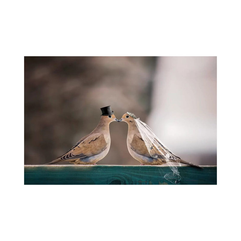 Mourning Dove Wedding by Karen Burke - Wrapped Canvas Print, 30.48cm H x 45.72cm W x 1.905cm D