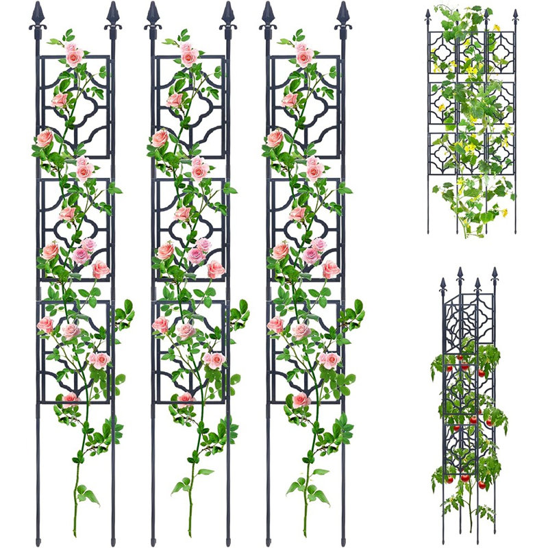 Treillis de jardin pour plantes grimpantes, Deaunbr Tall Plant Support O ...