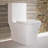 Concorde One-Piece Square Toilet