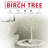 Twig Birch Tree with Lights