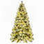 Arbres de noël-573678399