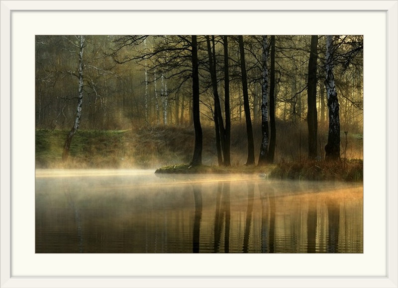 "Straub" Silent Light par Agnieszka Jankowska, reproduction de photo, H 24 po x l 32 po x p 1 po, Cadre blanc