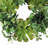 18" Mixed Succulent Eucalyptus Wreath