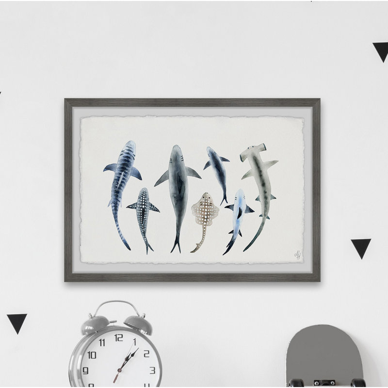 Saugatuck Shark Types II, reproduction encadrée, H 16 po x l 24 po x P 1,5 po