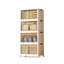 Plastic / Acrylic Rectangle Accent Cabinet