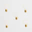 Ambient Angle LED Bulbled Bottle Inverted Shape E27 Decorative String Light