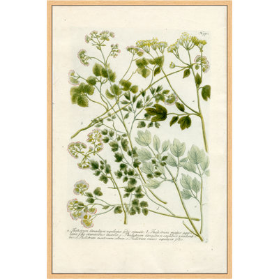 Art mural Martha Stewart Bedford, tableau de légumes II, 13,5 po x 19,5 po, décor de salon et de chambre à coucher, encadré
