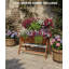 Lit de jardin surélevé avec treillis d'escalade-741920430